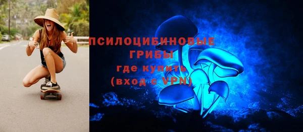 сатива Бронницы