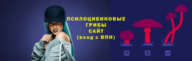 гашик Верхний Тагил