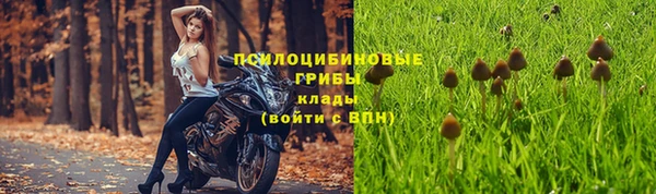 сатива Бронницы