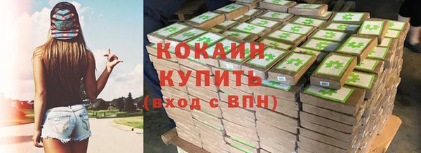 сатива Бронницы