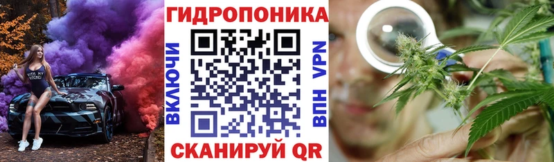 Купить где  Кудымкар  Бошки Шишки сатива 